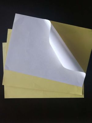 Ruloir de papier auto-adhésif brillant résistant à l'humidité pour achats professionnels