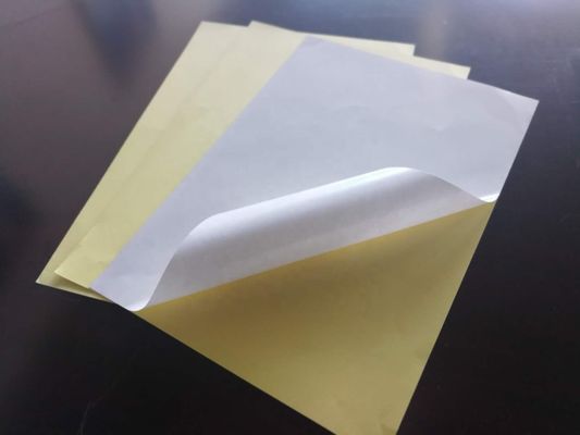 Ruloir de papier auto-adhésif brillant résistant à l'humidité pour achats professionnels