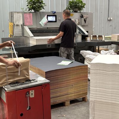 Papier d'impression offset sans bois couleur avec revêtement PE
