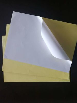 Étiquette de transfert thermique de laminage brillant Jumbo Roll pour auto-adhésif sur papier sur mesure