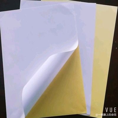 Étiquette de transfert thermique de laminage brillant Jumbo Roll pour auto-adhésif sur papier sur mesure
