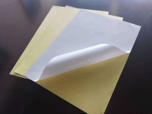 Papier adhésif à fusion chaude pour l'étiquetage et la marque des produits
