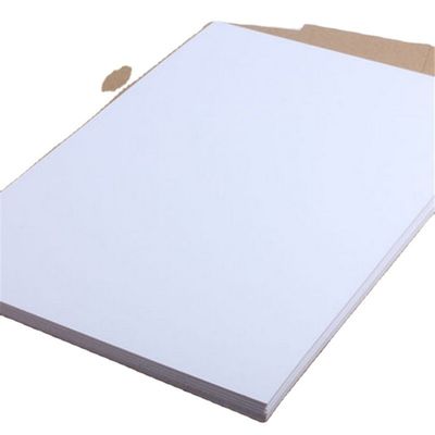 Le papier A4 le plus vendu 75 80 GSM Jumbo Roll avec 45% de brillance de surface et 88% de brillance d'impression