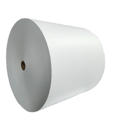 Papier d'ivoire anti-enroulement 210/230/250/270/300gsm FBB/GC1/C1S avec pâte chimique et norme