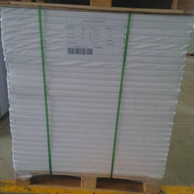 Papier de traçage Compatible papier offset blanc brut non revêtu sans bois