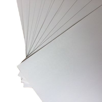 s Top Choice C2S Matte Art Card Paper Roll enduit des deux côtés pour une finition supérieure
