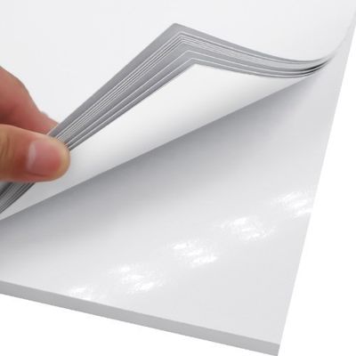 Papier en rouleau de carton en forme de matte en PE revêtu de C2S pour l'impression et l'emballage