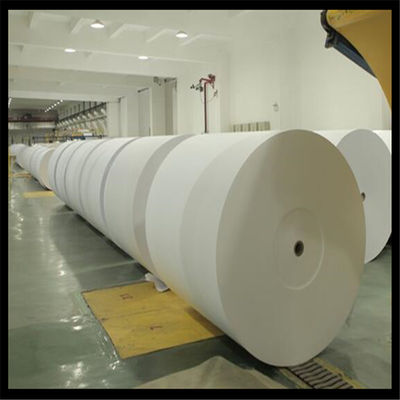 Papier de copie anti-enroulement Jumbo Roll pour la découpe A4 Fabriqué à partir de pâte de bois
