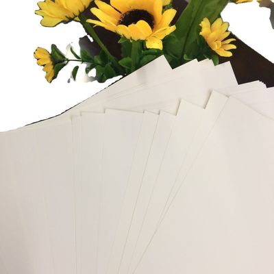 Carton pliable personnalisable en pâte chimique-mécanique avec un style de pâte vierge