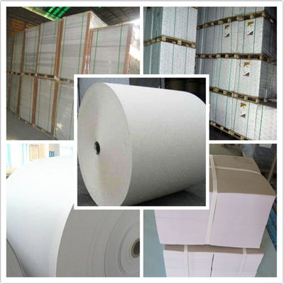 NINGBO FOLD C2S carte d'art en pâte de bois en matériaux de revêtement de kaolinite pour un haut éclat