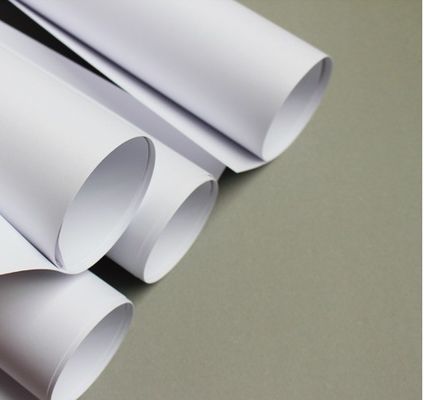 80 grammes de papier de copie Jumbo Roll pour l'impression sur commande personnalisée