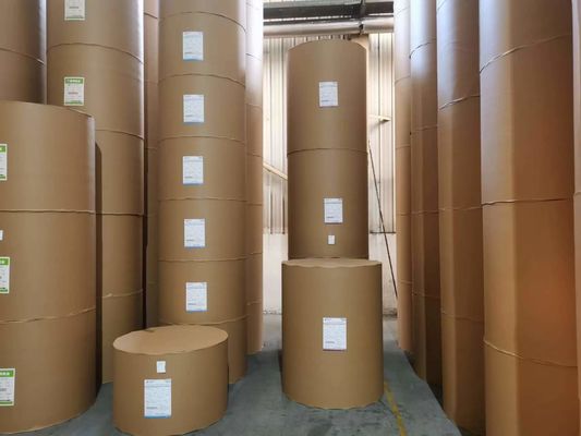 210 gm-400 gm C1S FBB Carton d'ivoire pour l'emballage Taille du rouleau de papier recouvert d'un côté