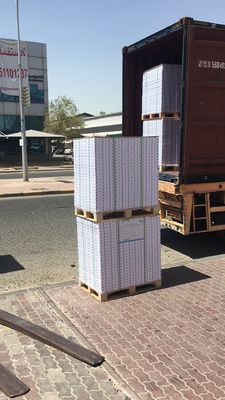 210 gm-400 gm C1S FBB Carton d'ivoire pour l'emballage Taille du rouleau de papier recouvert d'un côté