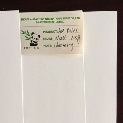 Papier d'art revêtu en PE C2s 80 gm 90 gm 100 gm 150 gm 170 gm 300 gm pour les projets d'impression