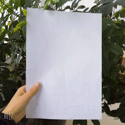 Papier à base de pâte chimique pour l'impression de manuels d'exercices de 60/70/80 g