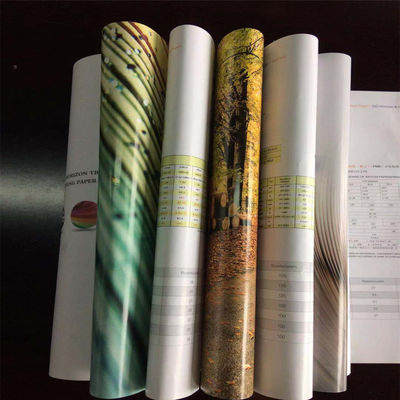 Impression offset Compatible double face revêtue de papier blanc C2S pour brochures
