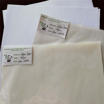Impression offset Papyrus sans bois à base de pâte de bois de Baiyun