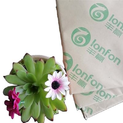 55G-120G Papier à imprimer à l'extérieur dans le cadre de l'anti-curl de LONFON/chenming/APP