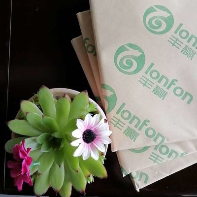 55 gm de papier blanc de LONFON, papier de livre sans bois non recouvert pour les besoins personnalisés