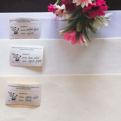 Papier offset sans bois à deux côtés non recouvert, au mieux en pâte de bois vierge