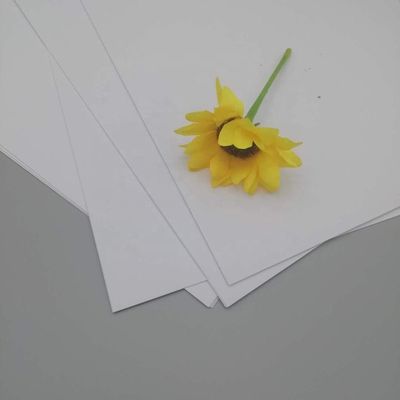 Exigences douanières et papier d'art anti-enroulement NEVIA pour l'impression
