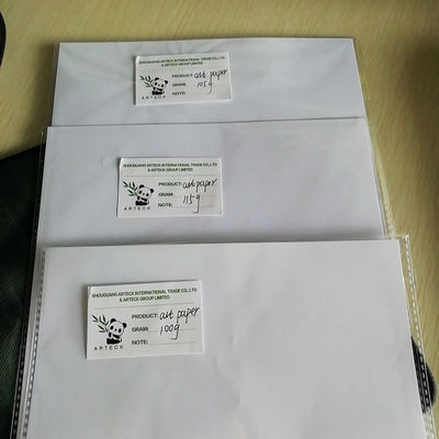 Impression offset Compatible avec la pulpe chimique et mécanique Papier d'art Eagle de neige et durable