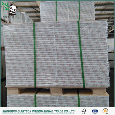 Grade AAA Ningbo pliable C1S/FBB/Carton d'ivoire pour l'emballage et l'impression