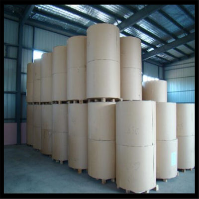 Solution d'emballage personnalisable Ningbo Fold FBB avec matière blanche de pâte de bois