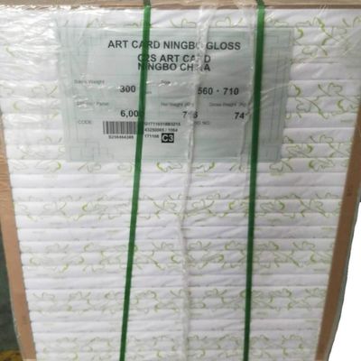 La carte en ivoire FBB de Ningbo Fold accepte les commandes sur mesure et est personnalisable
